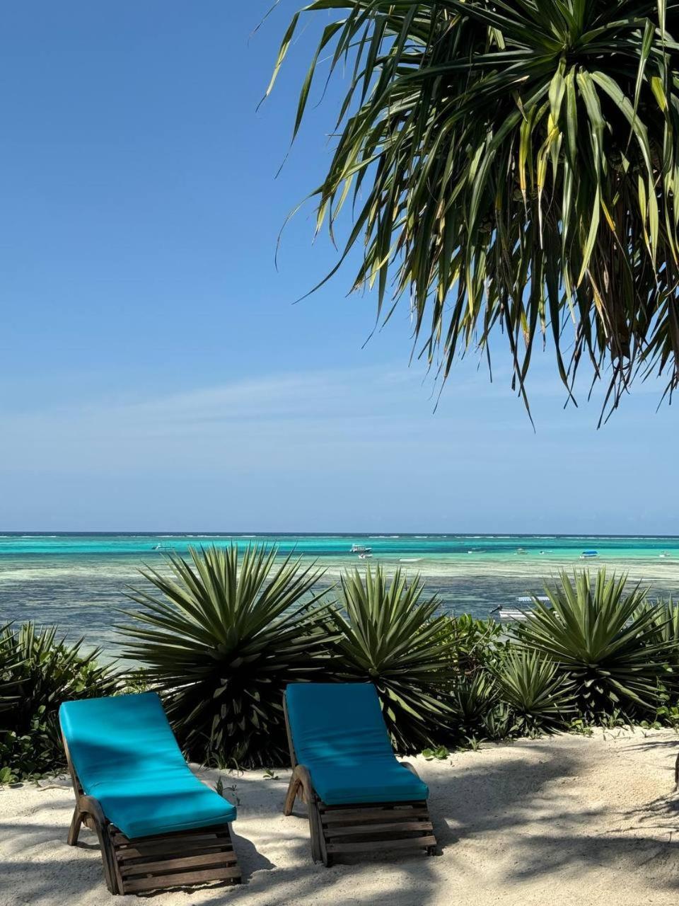 Bitcoin Beach Hotel Zanzibar Michamvi Exteriér fotografie