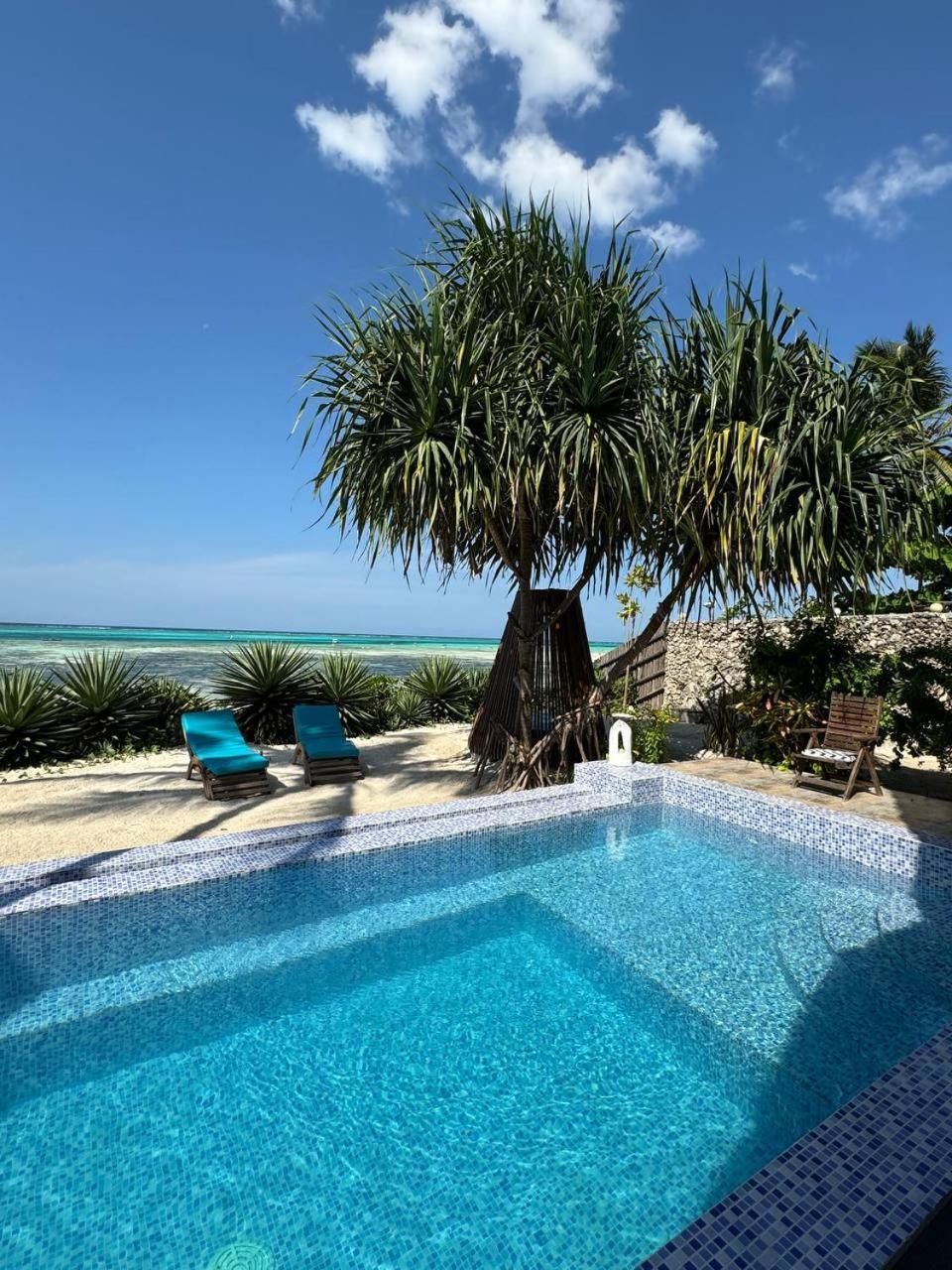 Bitcoin Beach Hotel Zanzibar Michamvi Exteriér fotografie